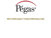 Pegas - Spiral - Laubsageblatter - Gro e  00  144St 