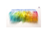 Tiny Turner -  Rainbow Fur set