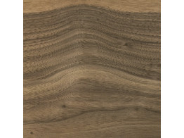 Walnut VS  600 x 150 x 0.7 mm  veneer